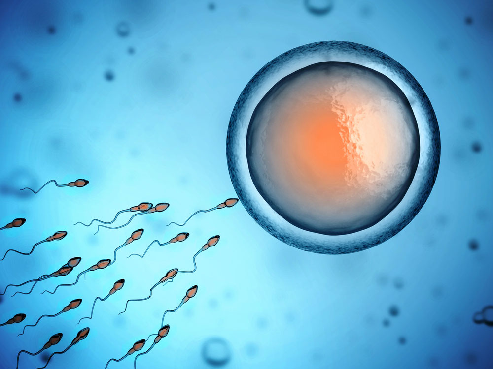 FERTILITY-PROTEIC-HORMONES