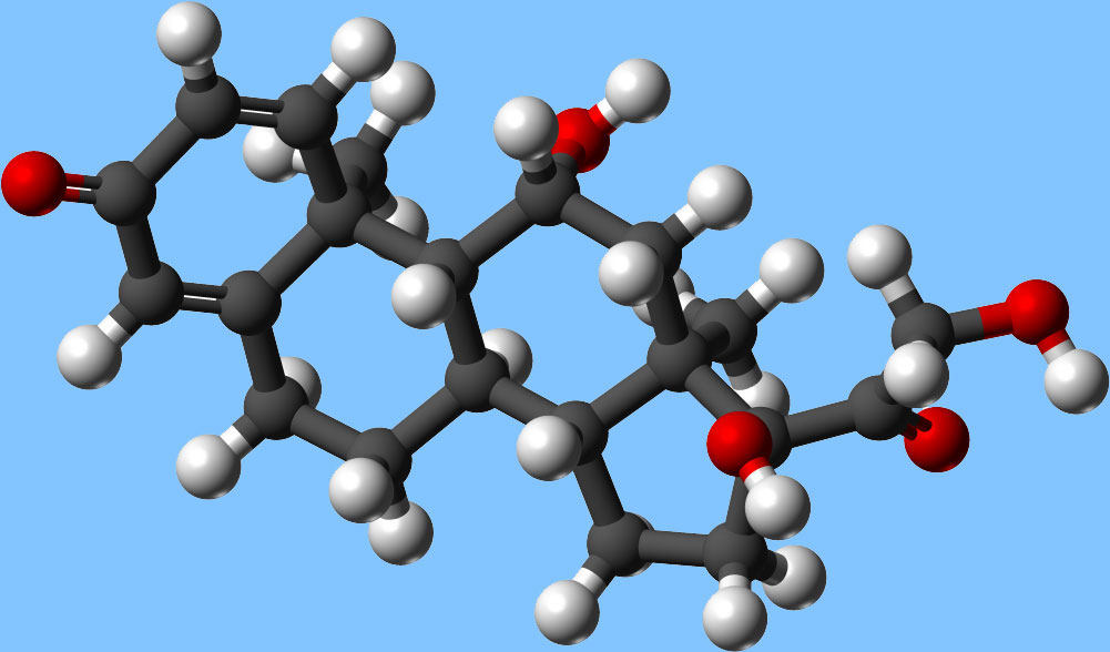 saliva steroid hormones