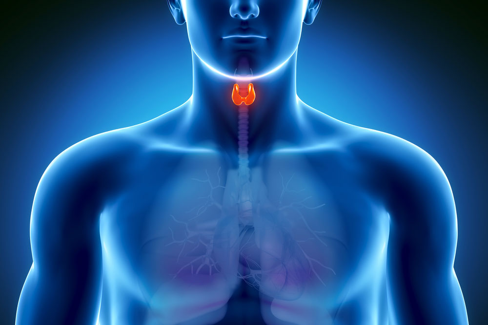 THYROID-MONITORING